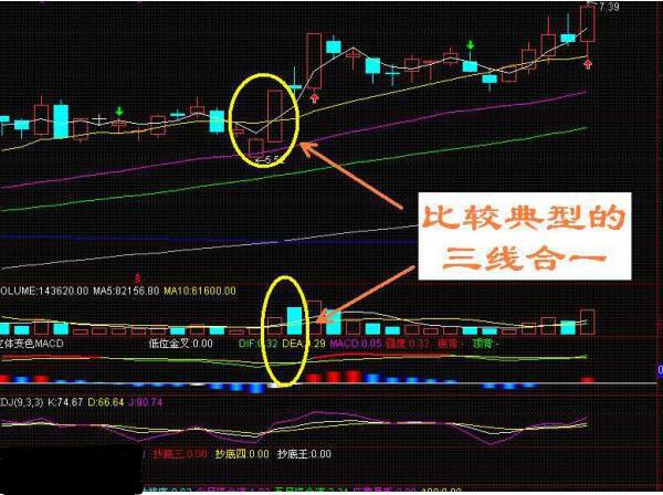 贷款利息新金融准则解析：你需要了解的重要信息